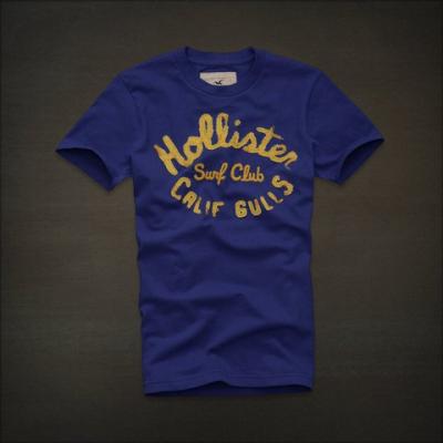 Hollister Men Shirts-385